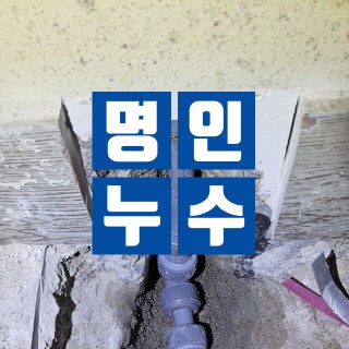 화성누수탐지 #31