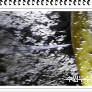 화성누수탐지 #10