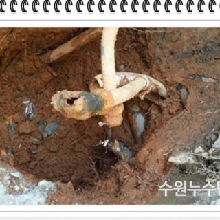 화성누수탐지 #4